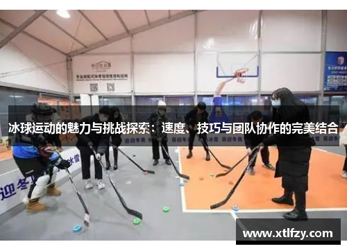 冰球运动的魅力与挑战探索：速度、技巧与团队协作的完美结合
