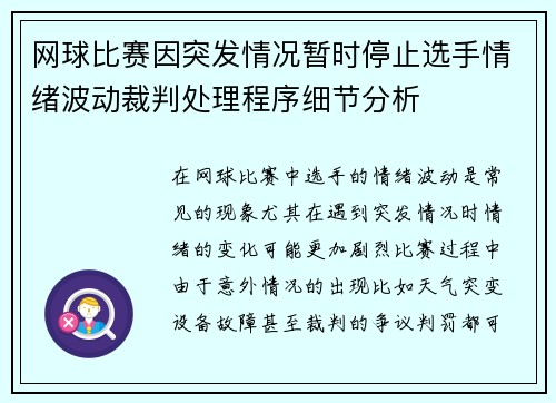 网球比赛因突发情况暂时停止选手情绪波动裁判处理程序细节分析